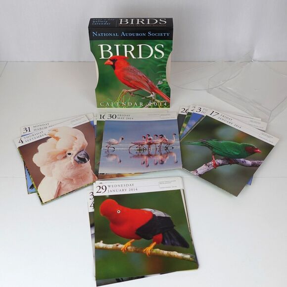 Other - Bird Calendar Pages Lot Nature Photos Junk Journal Scrapbook Ephemera Paper Pack